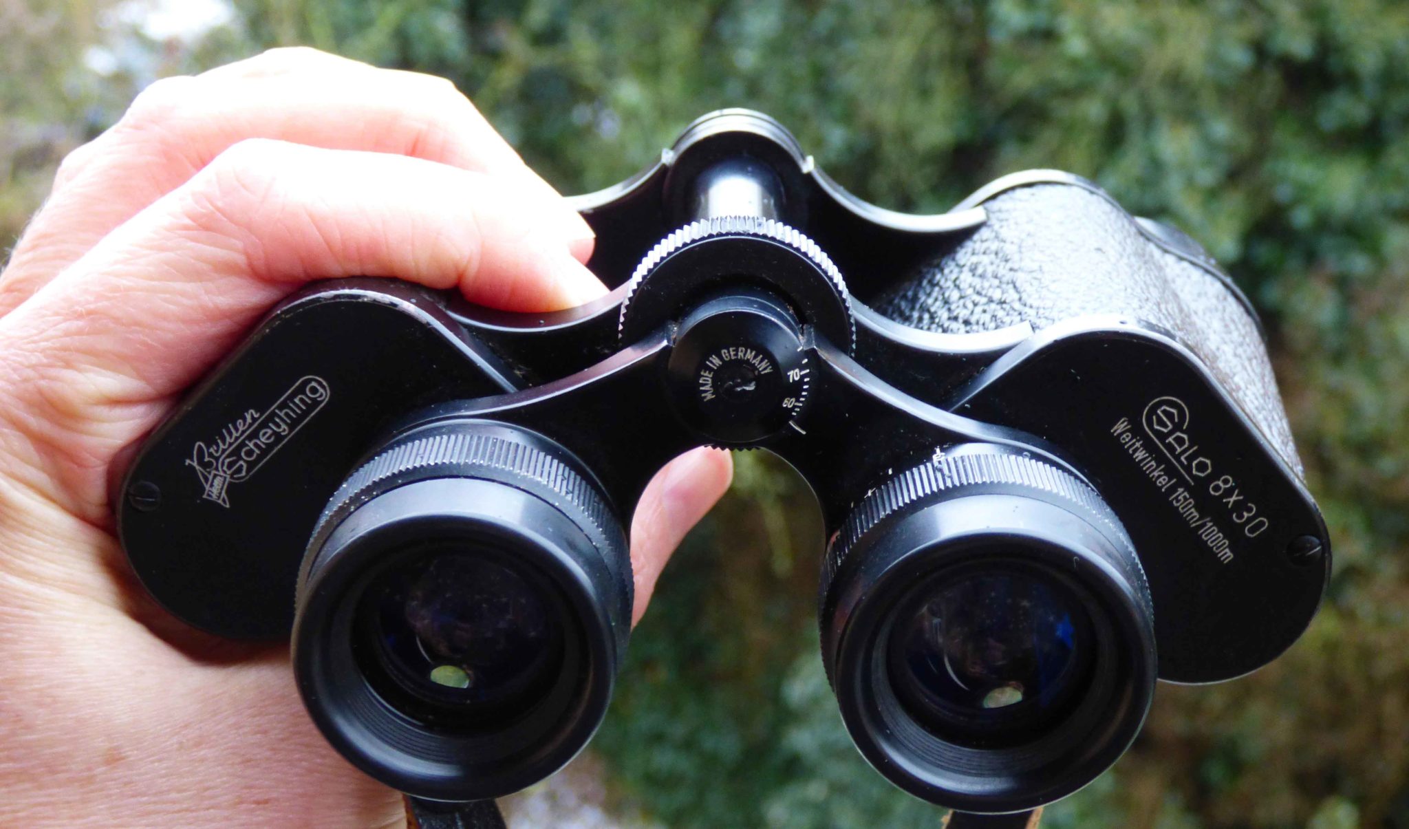 Wie du dein Fernglas richtig einstellst • Vogelguckerin