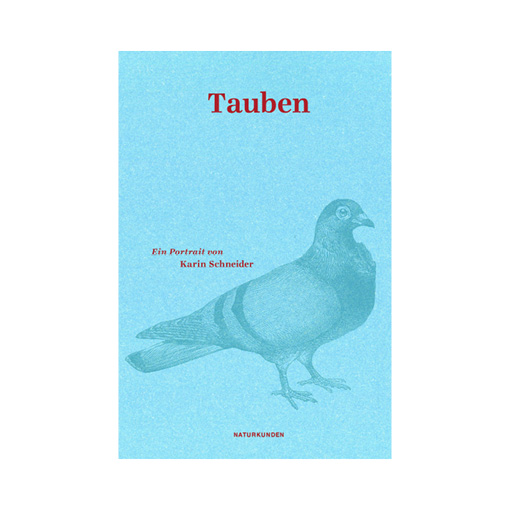 Karin Schneider: Tauben