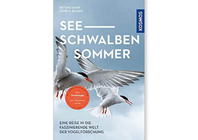 Bettina Sauer, Peter H. Becker: Seeschwalbensommer