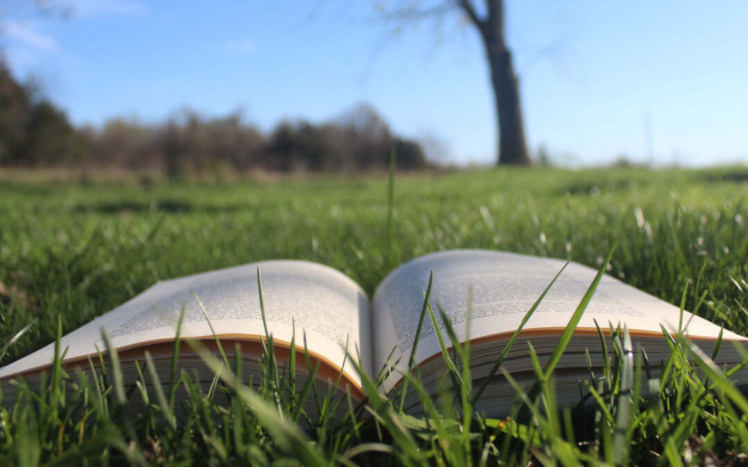 Ent-fehlungen: Vogelbücher, die ich nicht empfehle