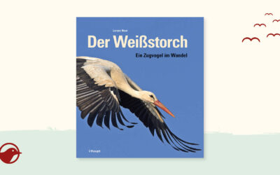Buchtipp: „Der Weißstorch“ von Lorenz Heer