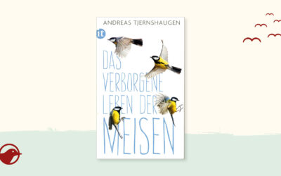 Buchtipp: „Das verborgene Leben der Meisen“ von Andreas Tjernshaugen