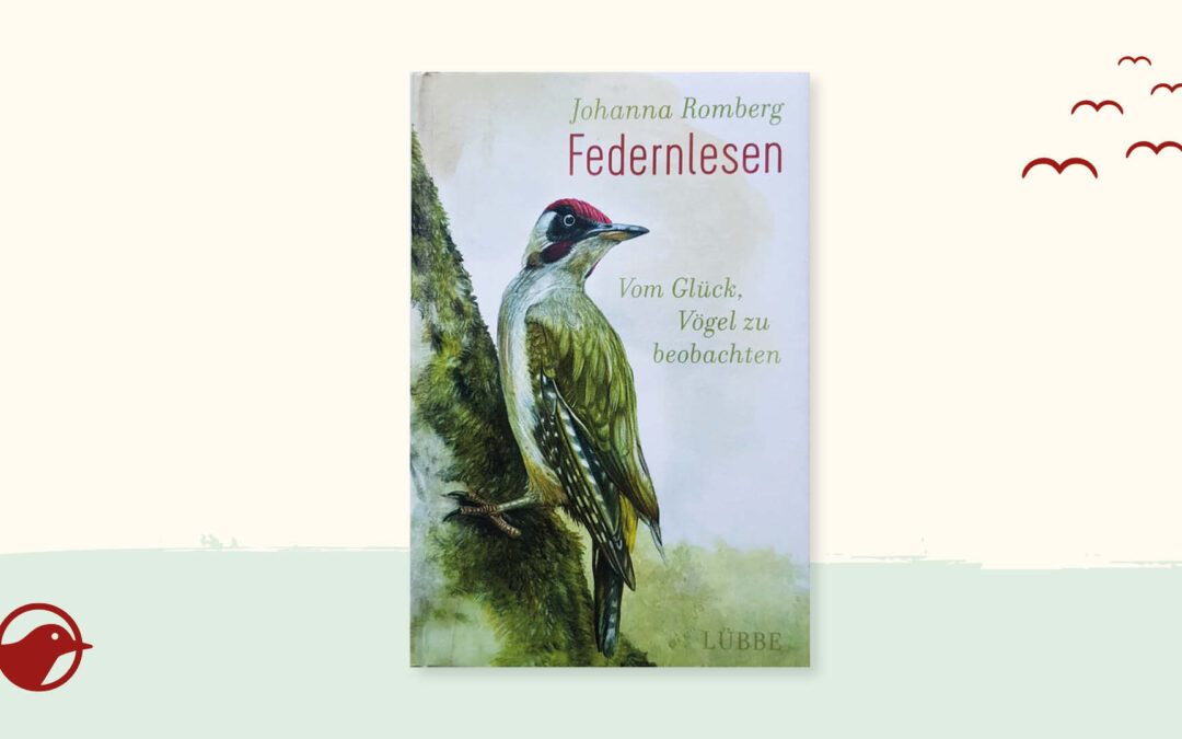 Buchtipp: „Federnlesen“ von Johanna Romberg
