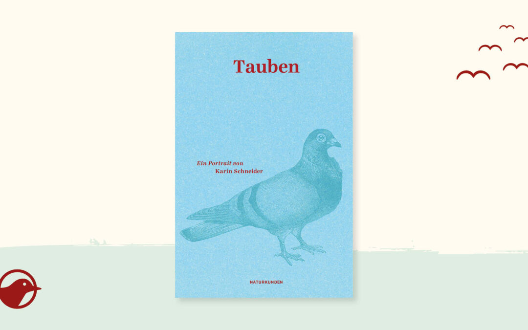 Buchtipp: „Tauben“ von Karin Schneider