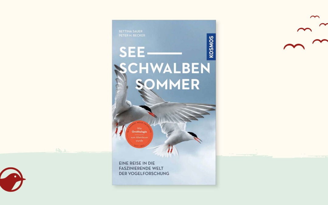 Buchtipp: „Seeschwalbensommer“