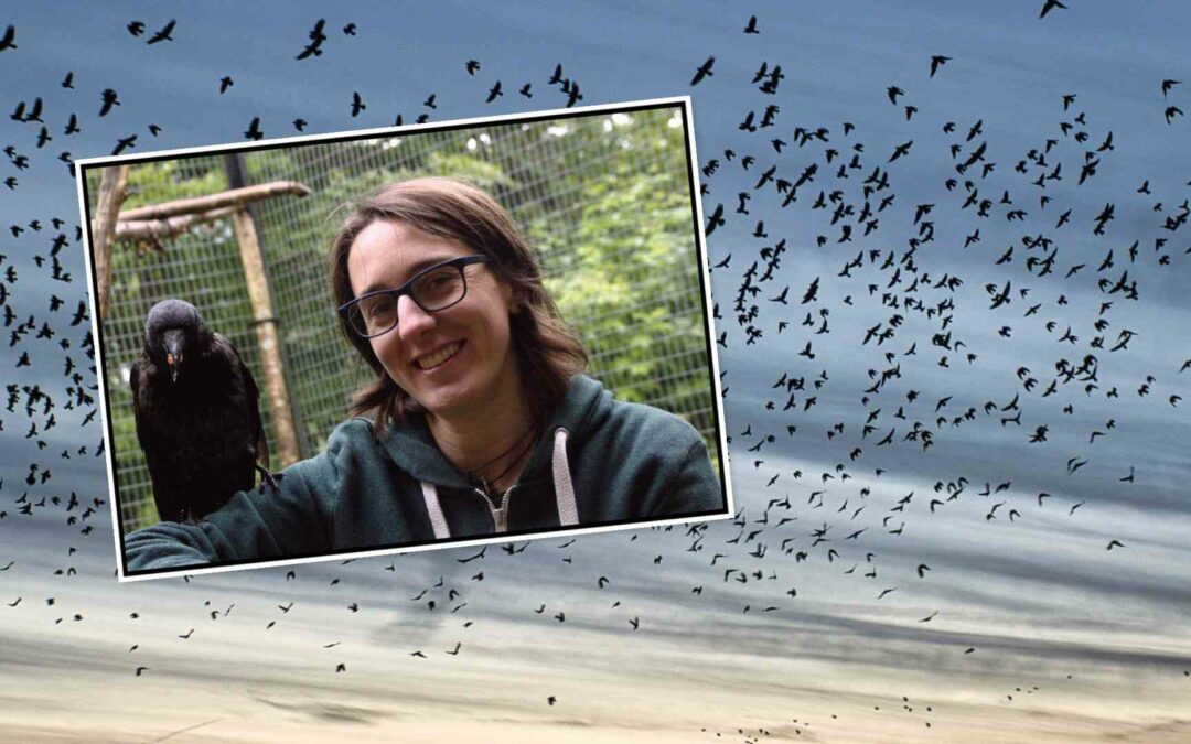 Claudia Wascher erforscht die Denkleistungen von Vögeln