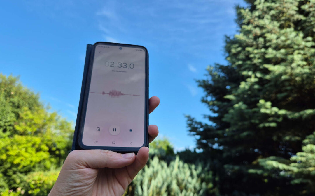 Vogelstimmen aufnehmen mit dem Smartphone: Bessere Aufnahmen ohne teure Technik