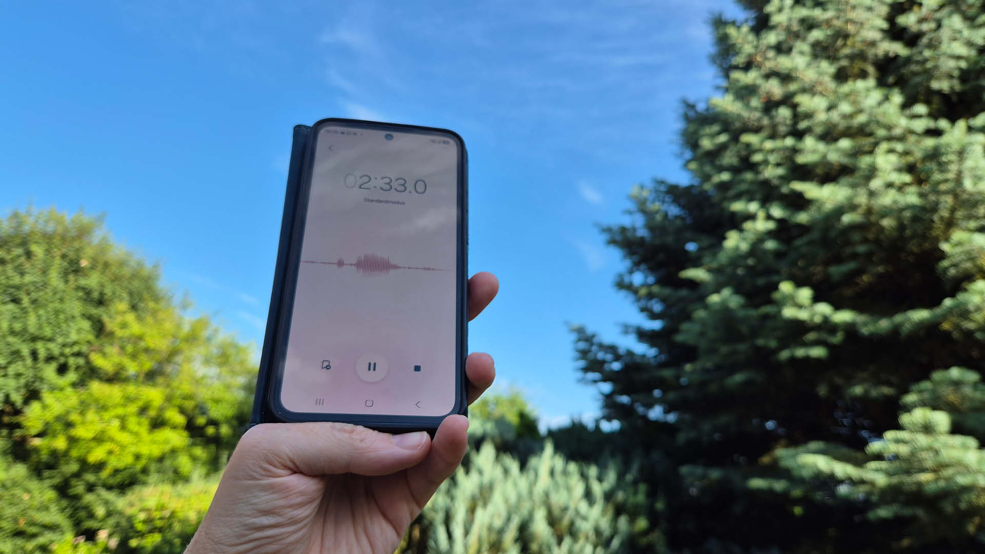 Vogelstimmen aufnehmen mit dem Smartphone: Bessere Aufnahmen ohne teure Technik