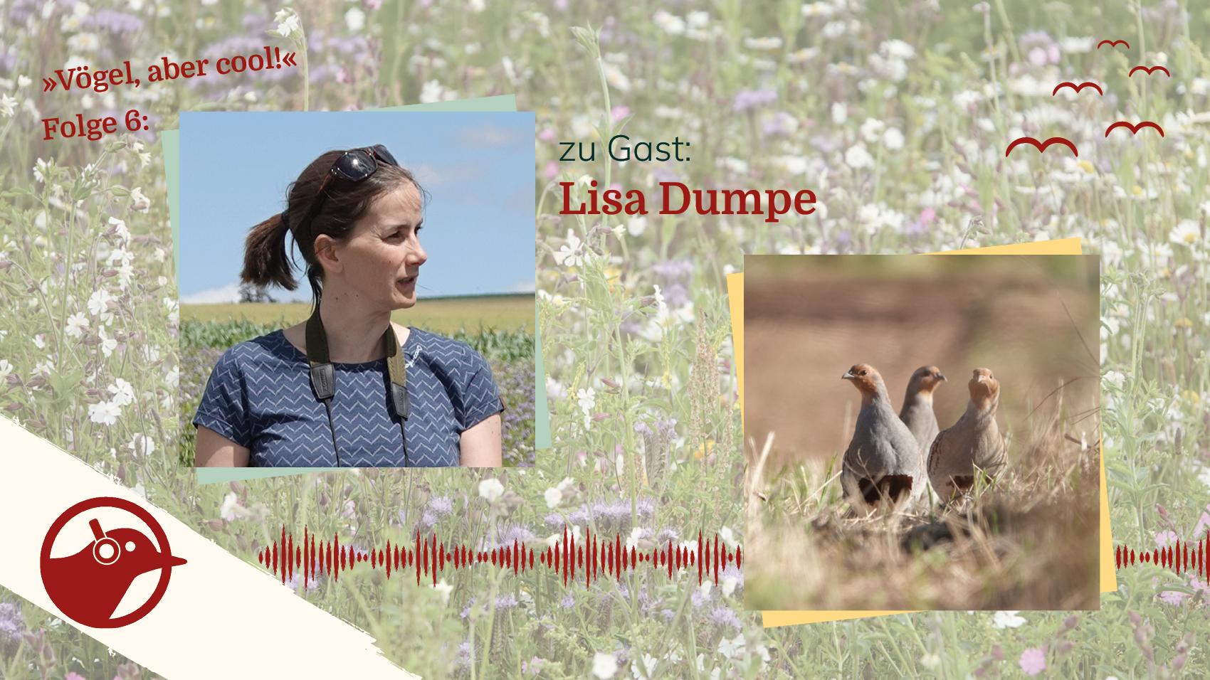 Lisa Dumpe: schützt das Rebhuhn