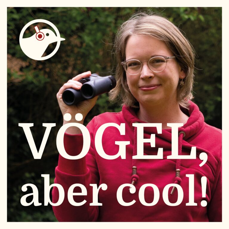 Die Rauchschwalbe: Der Vogel, der mir den Vogelzug erklärt hat