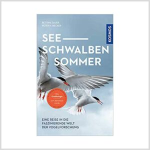 Seeschwalben Sommer (Bettina Sauer, Peter H. Becker)