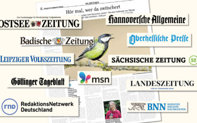 Mein erstes RND-Interview. Oder: Viral gehen in deutschen Tageszeitungen