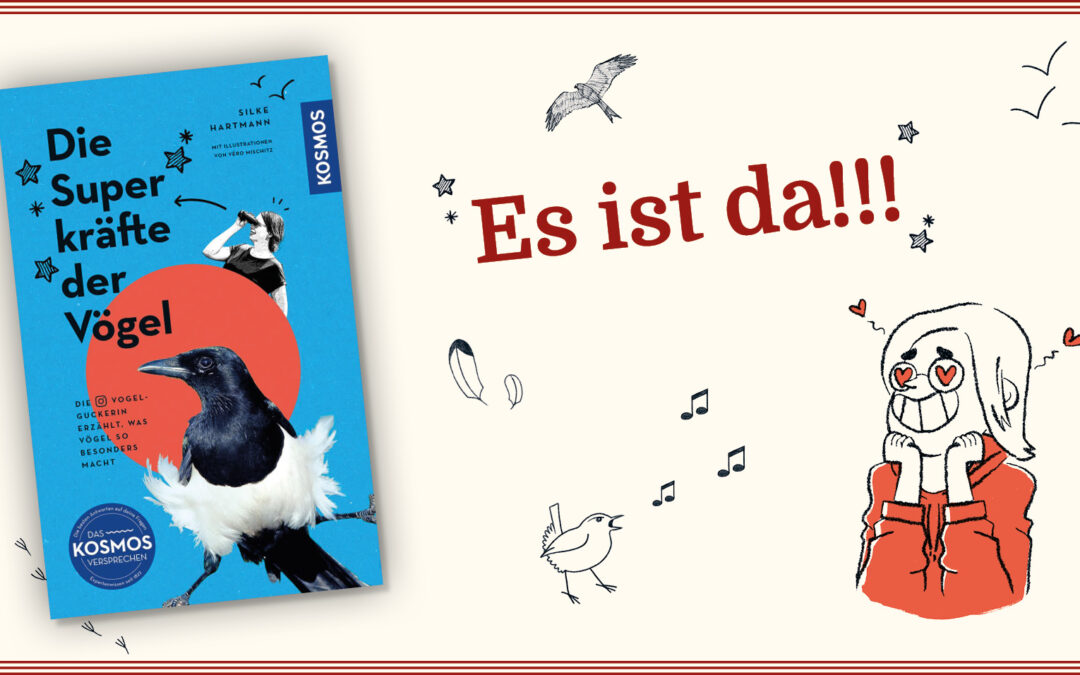 Die Superkräfte der Vögel – mein erstes Buch!
