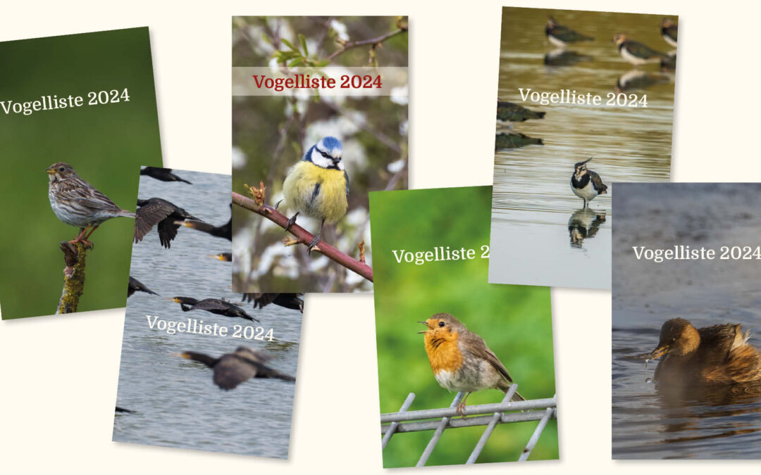 Die Vogelliste 2024 ist da!
