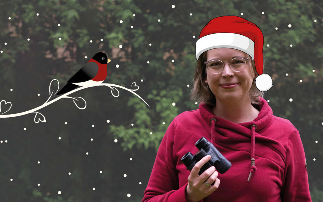 15 Weihnachtsfakten über die Vogelguckerin